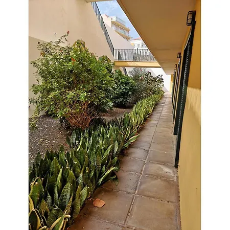 Beautiful Duplex With Internet 아파트