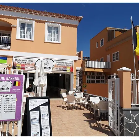 Beautiful Duplex With Internet Arona (Tenerife)